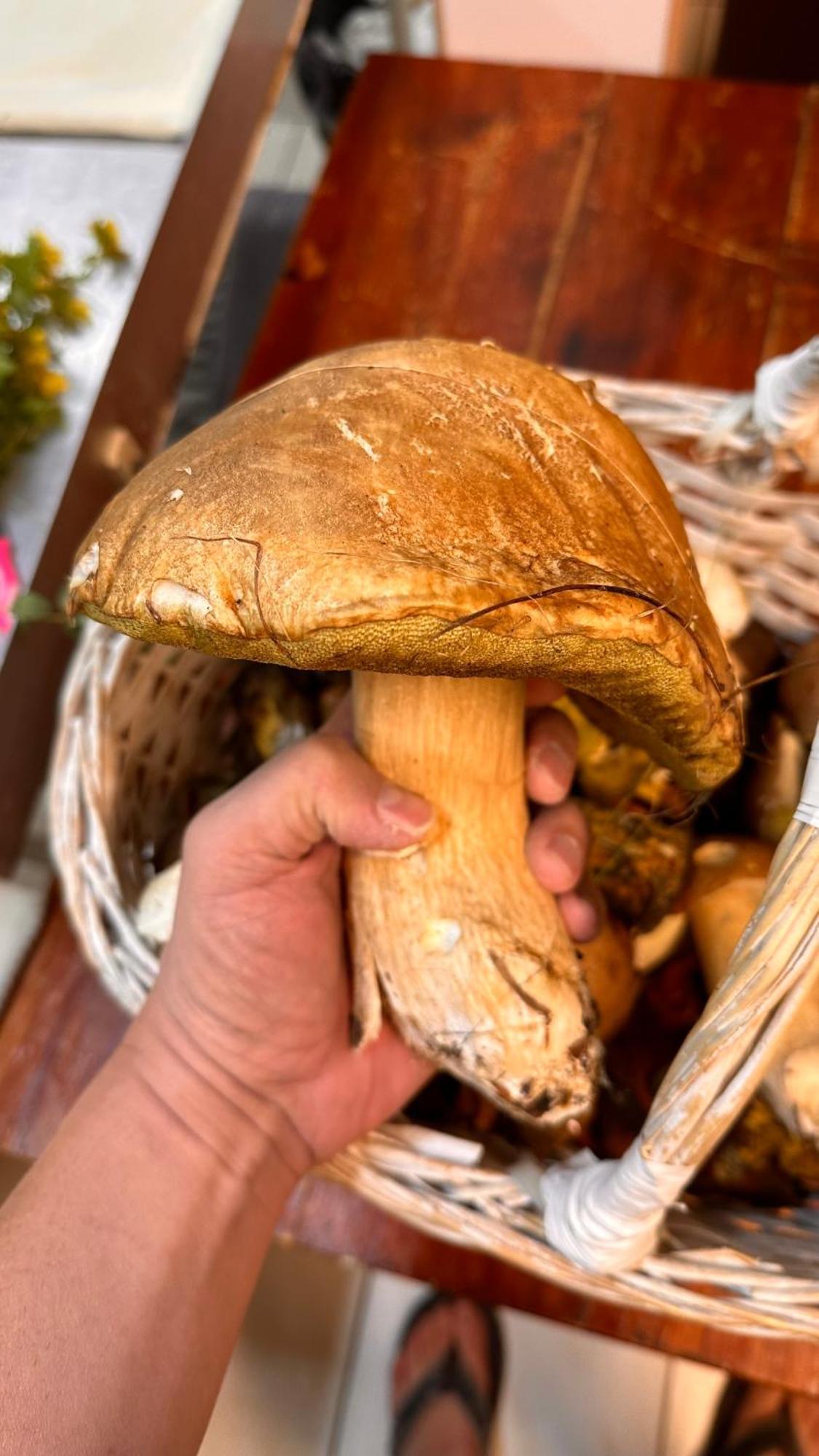 Dom Wypoczynkowy Pod Polanka コルビエルフ エクステリア 写真